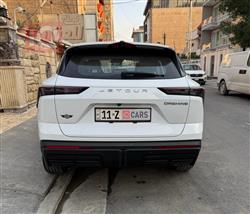 جيتور داشينج